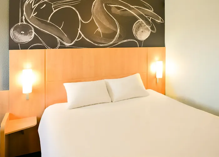 Ibis Centre Historique Hotel 3*